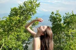 张家界门票2025门票多少钱？2025门票价格预测+购买指南，提前收藏！