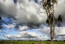 中國(guó)品牌首次组建“全球化冬奥战队”，TCL之队全球化冬奥战队阵容揭晓