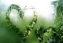 近(jìn)期小道消息, 八卦速递, 一网打(dǎ)尽