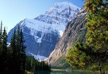 Uzi否(fǒu)认复出